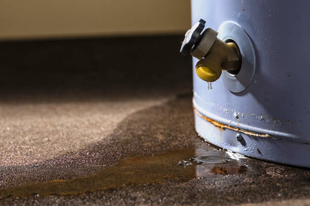 Best Emergency water damage restoration  in Altadena, CA