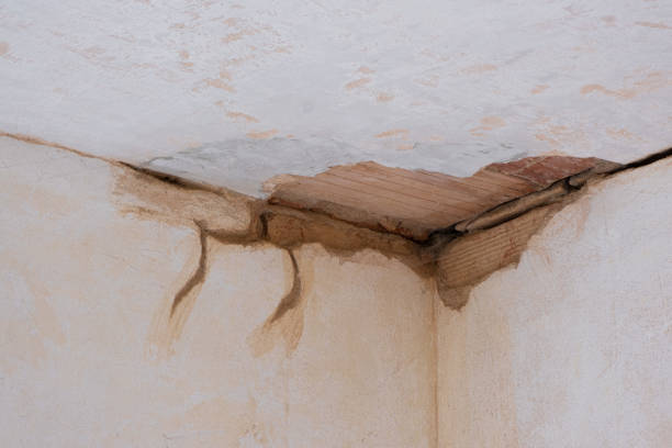 Carpet water damage restoration in Altadena, CA