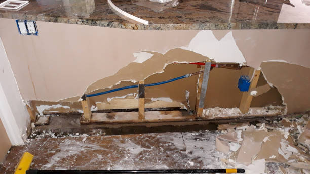 Best Local water damage restoration  in Altadena, CA