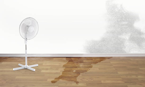 Best Flood restoration services  in Altadena, CA