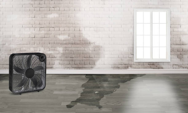 Trusted Altadena, CA Water damage restoration Experts