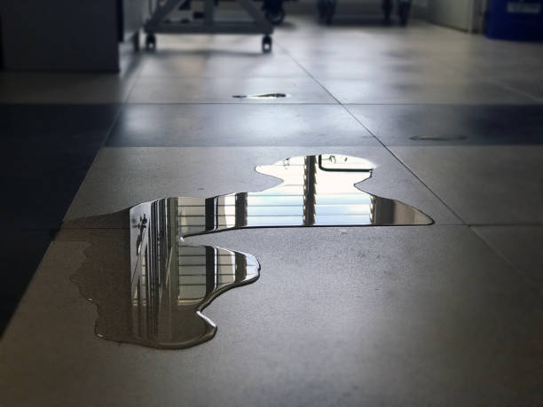 Best Water damage cleanup near me  in Altadena, CA