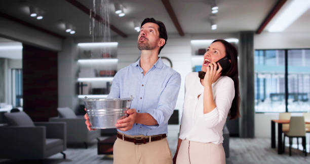 Best Water damage restoration near me  in Altadena, CA
