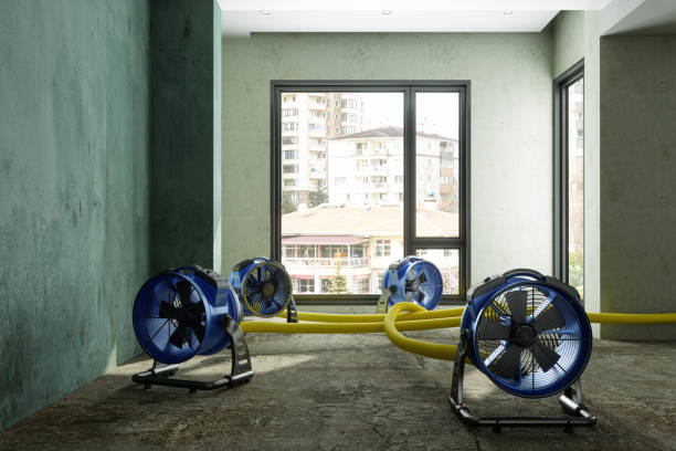 Sewage cleanup and water damage restoration in Altadena, CA